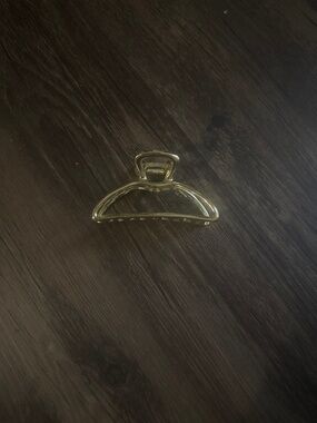 metal claw clip